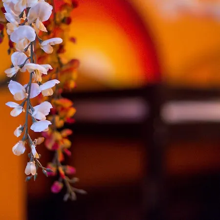 The Monk's Bunk Hostel